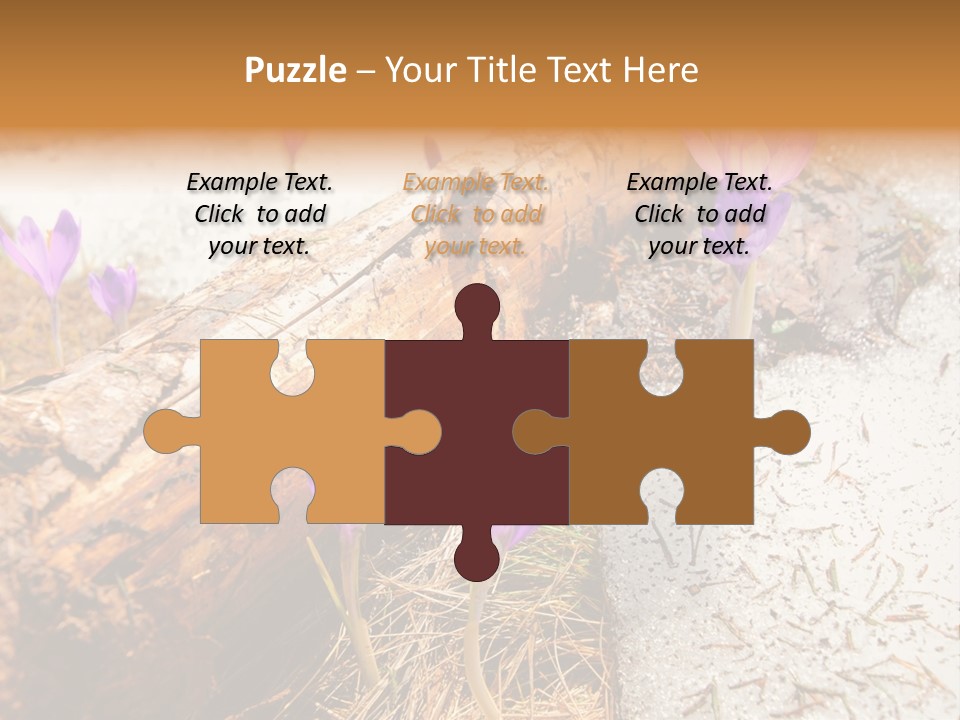 Snowdrops PowerPoint Template