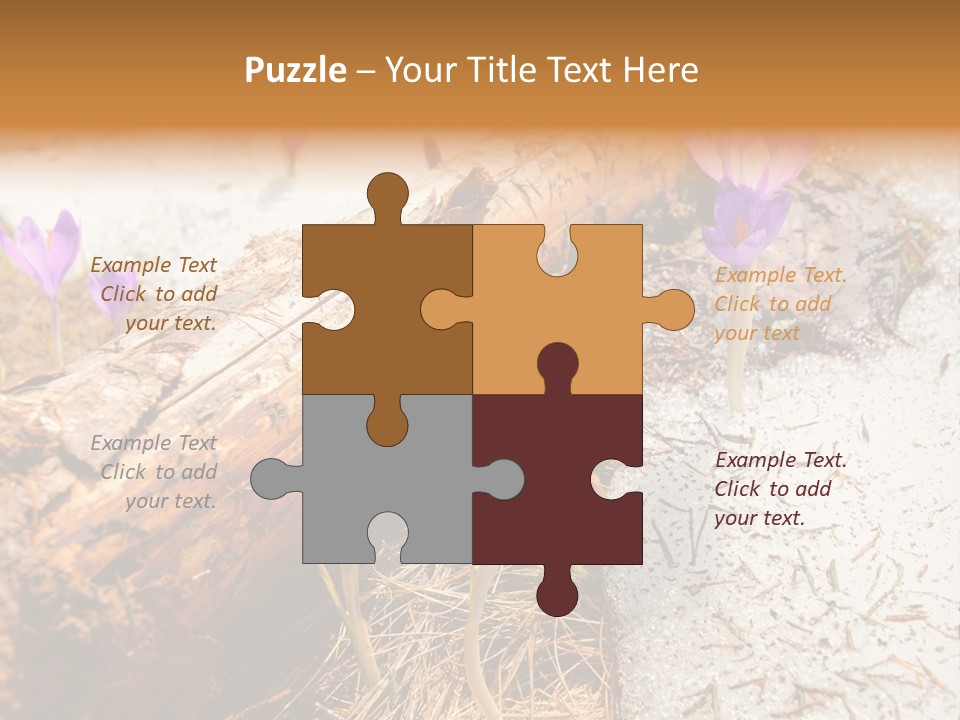 Snowdrops PowerPoint Template