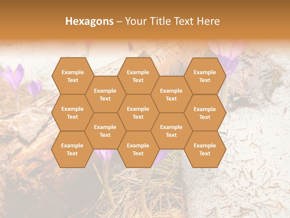 Snowdrops PowerPoint Template