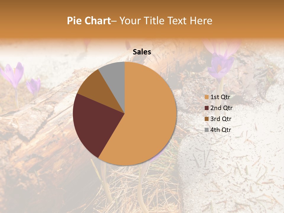 Snowdrops PowerPoint Template