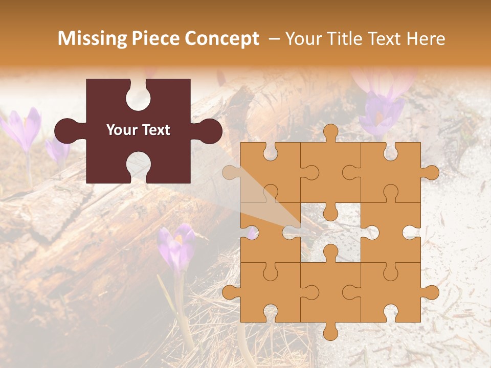 Snowdrops PowerPoint Template