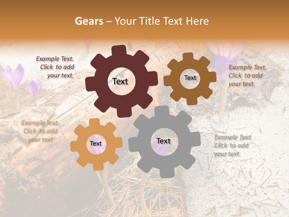 Snowdrops PowerPoint Template