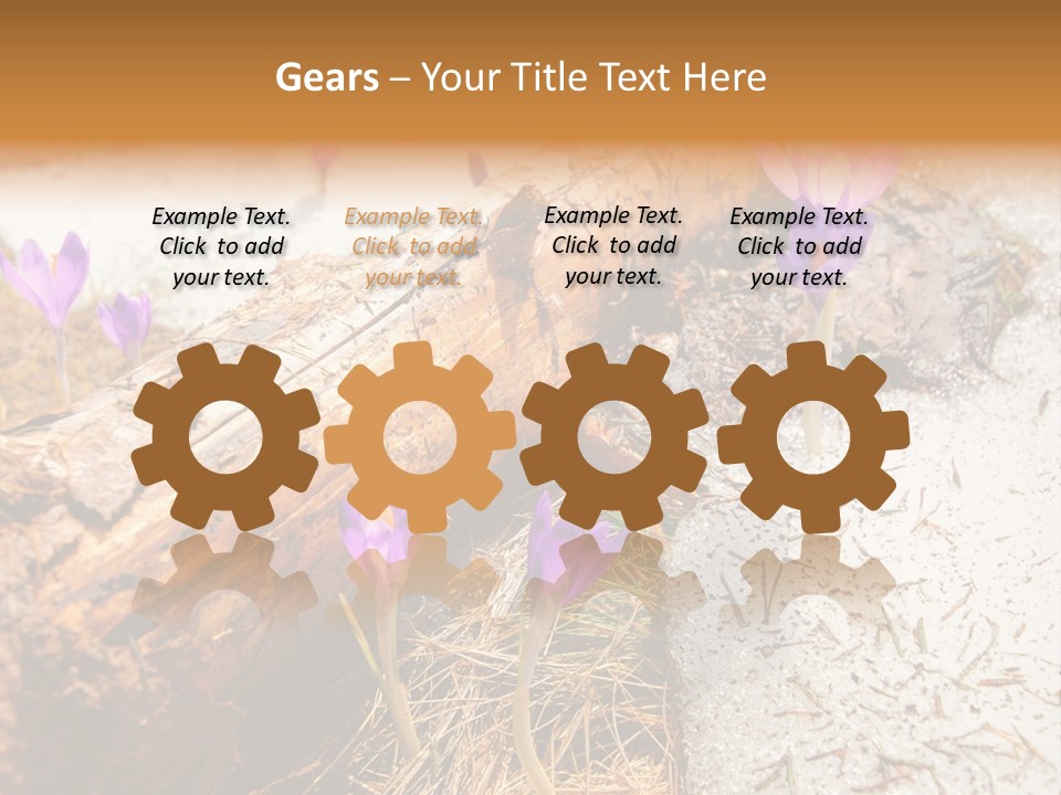 Snowdrops PowerPoint Template