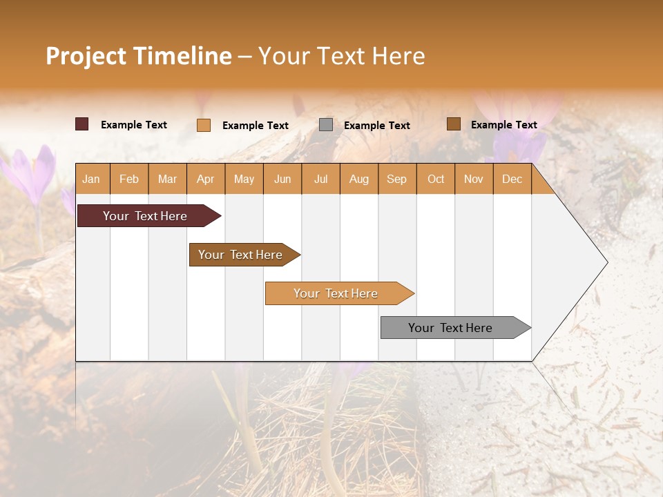 Snowdrops PowerPoint Template