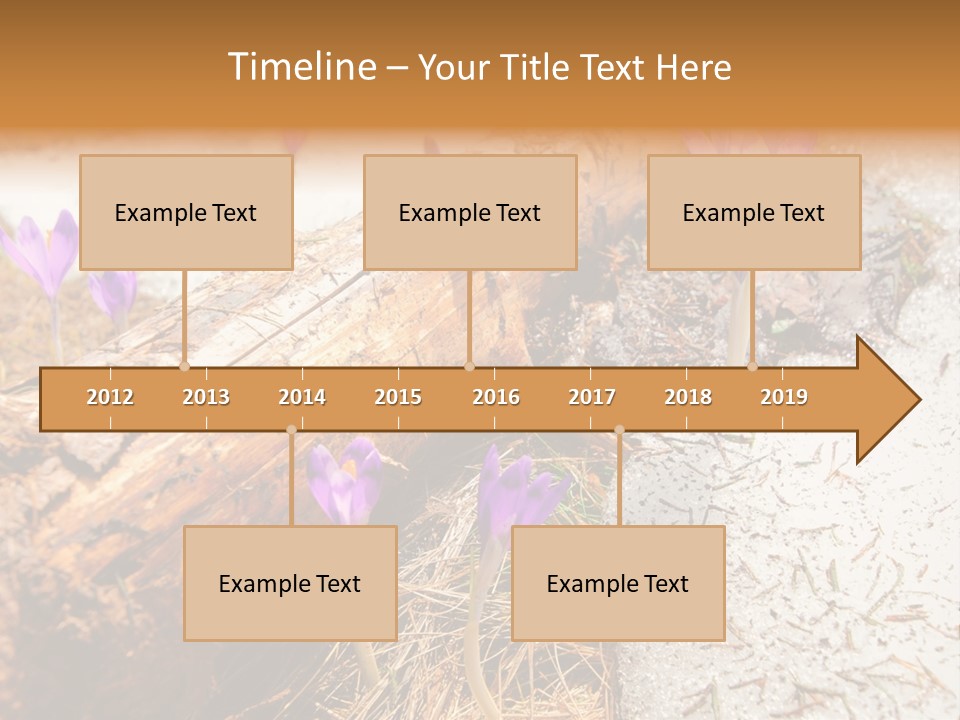 Snowdrops PowerPoint Template