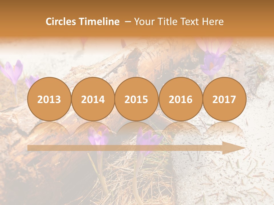 Snowdrops PowerPoint Template