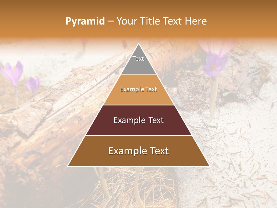 Snowdrops PowerPoint Template