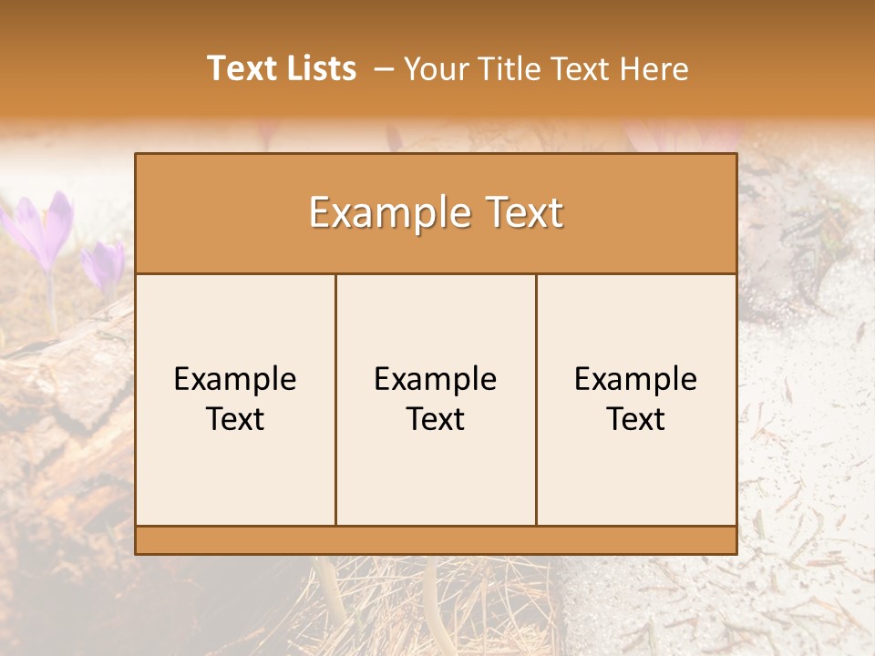 Snowdrops PowerPoint Template