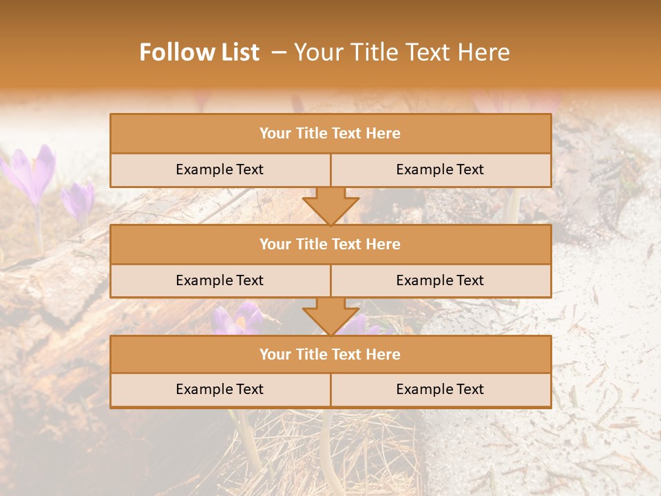 Snowdrops PowerPoint Template