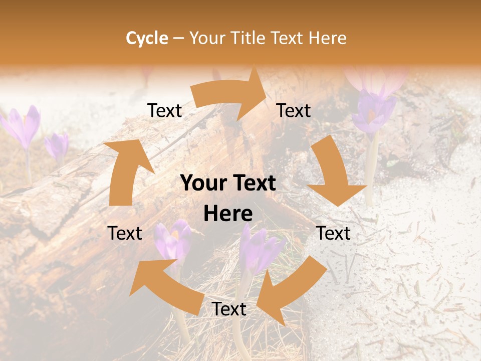 Snowdrops PowerPoint Template