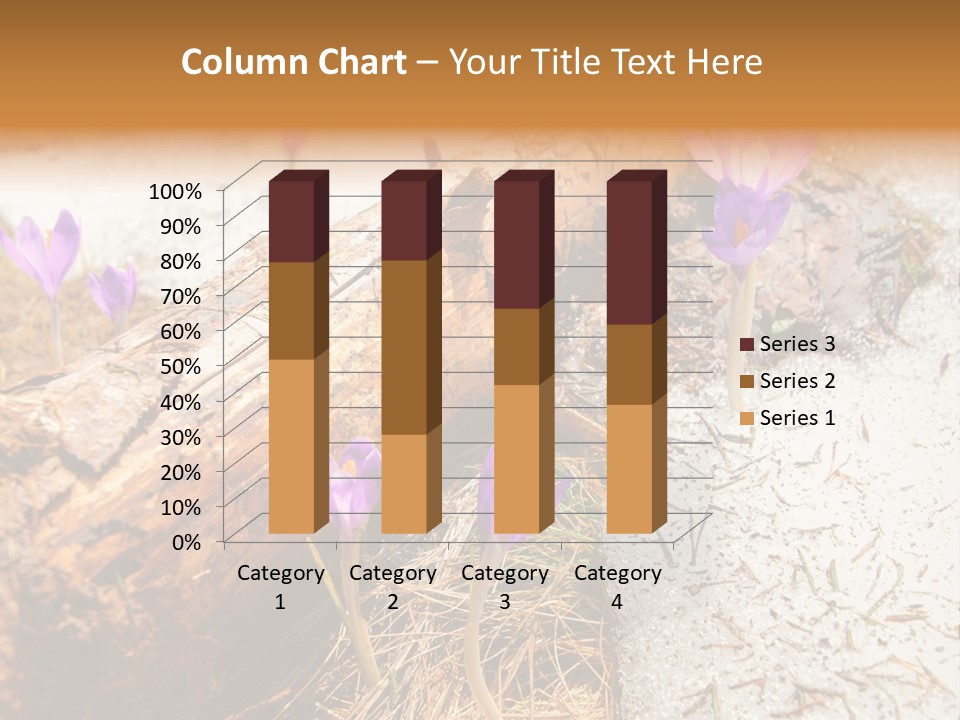 Snowdrops PowerPoint Template