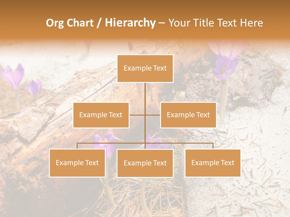 Snowdrops PowerPoint Template