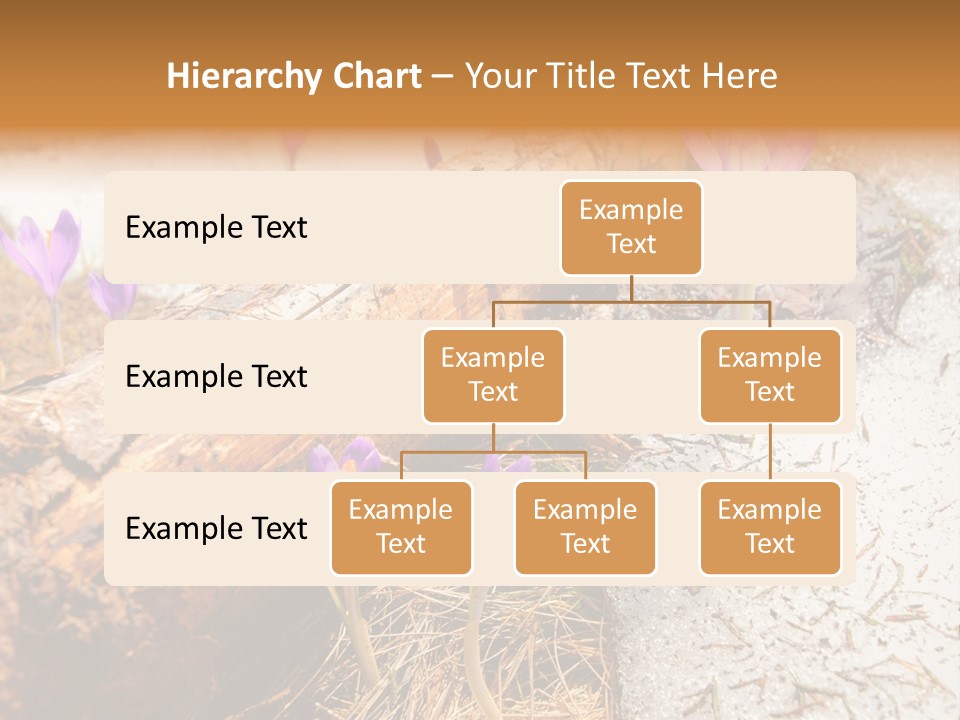 Snowdrops PowerPoint Template