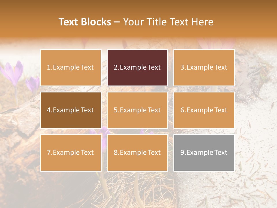 Snowdrops PowerPoint Template