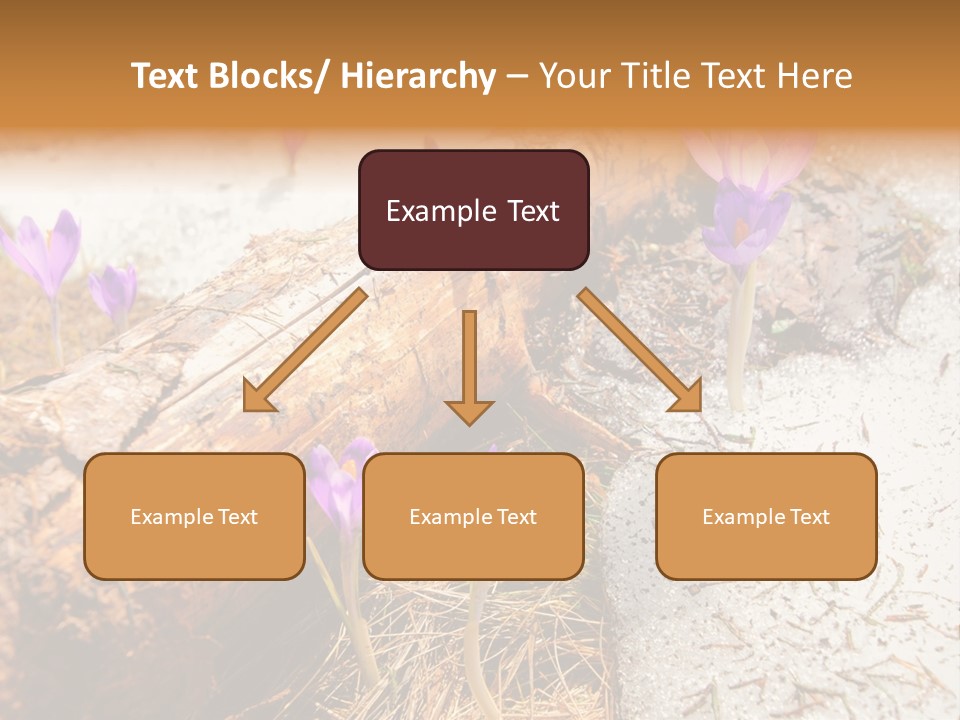 Snowdrops PowerPoint Template