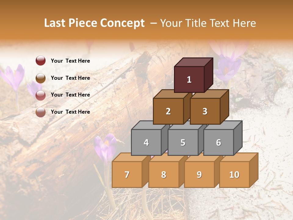 Snowdrops PowerPoint Template