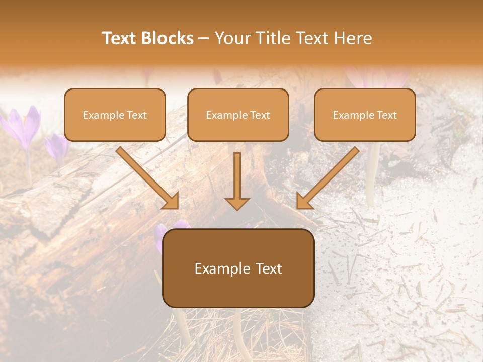 Snowdrops PowerPoint Template