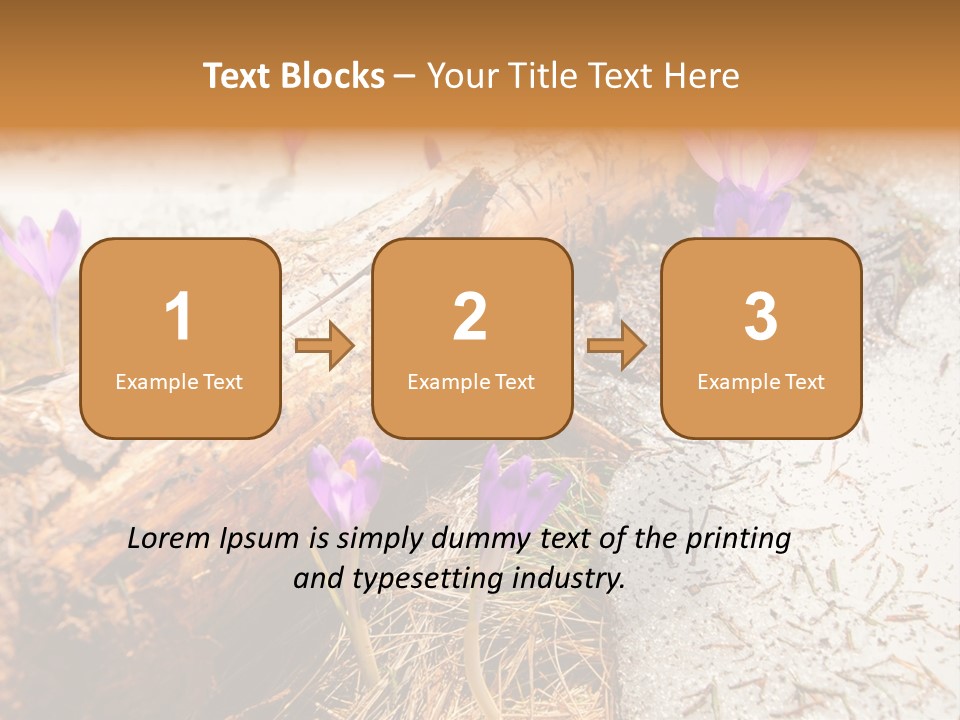 Snowdrops PowerPoint Template