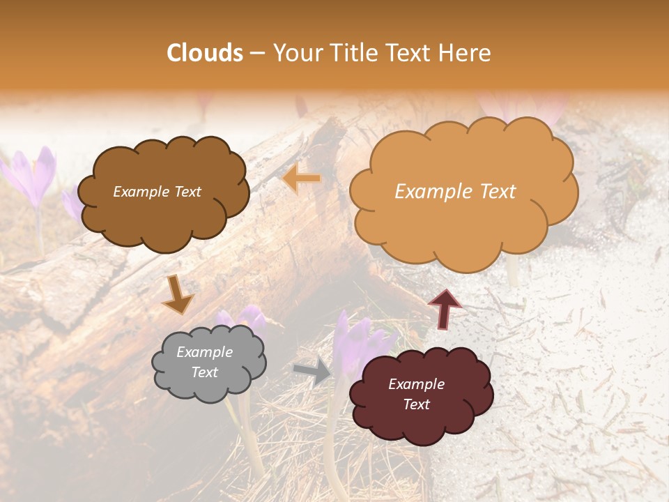 Snowdrops PowerPoint Template