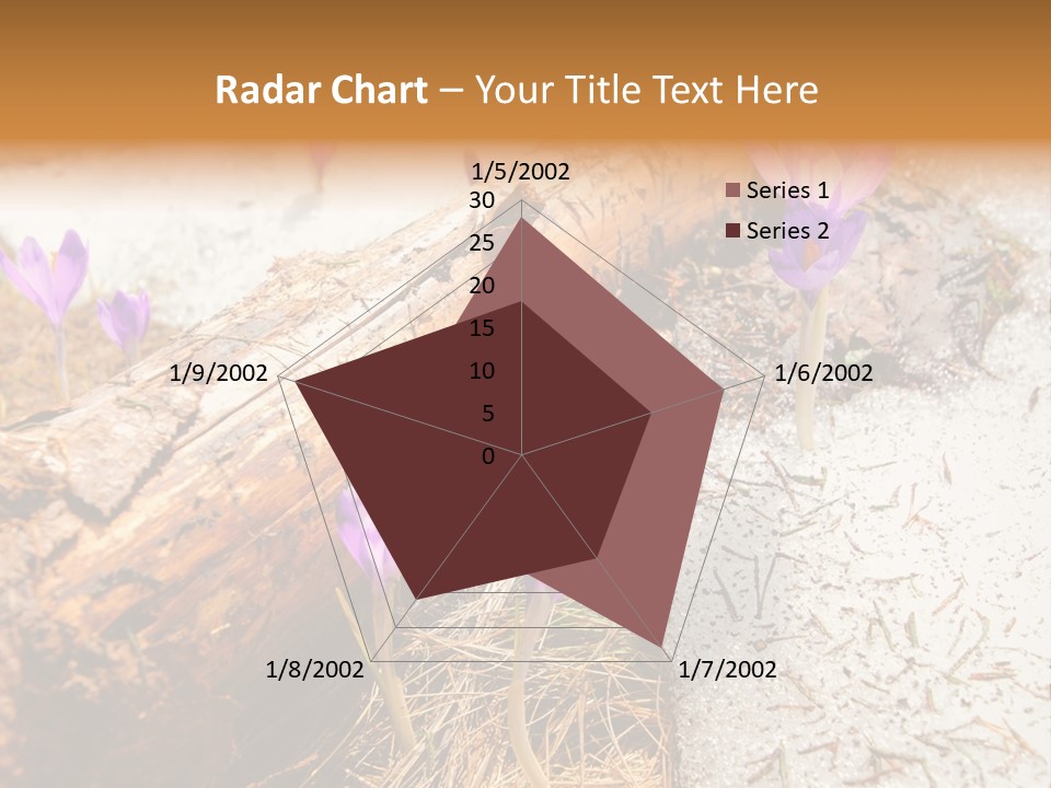 Snowdrops PowerPoint Template