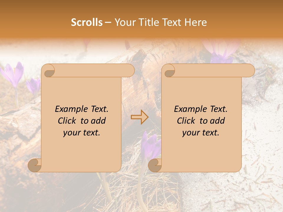 Snowdrops PowerPoint Template