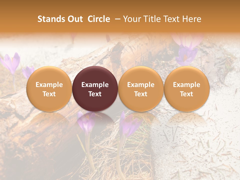 Snowdrops PowerPoint Template