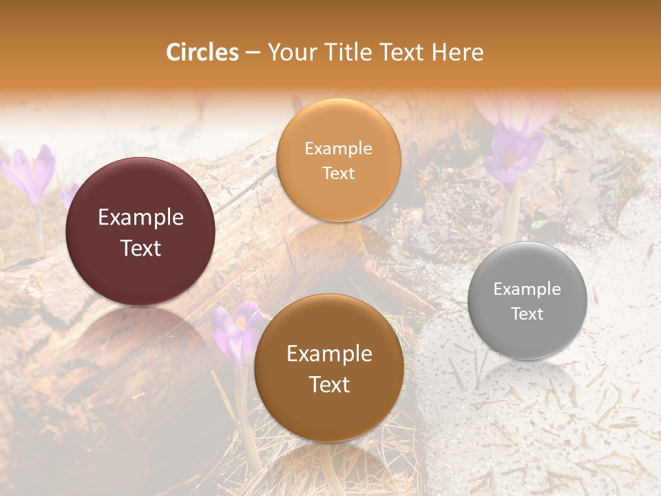 Snowdrops PowerPoint Template