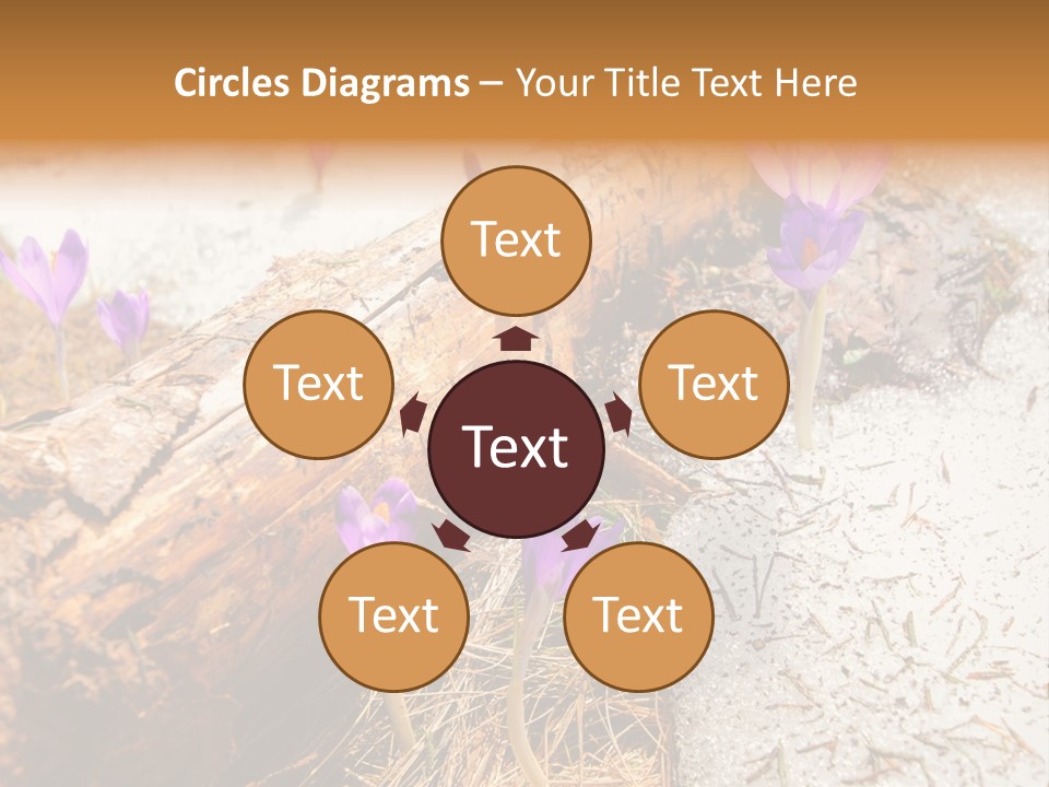 Snowdrops PowerPoint Template