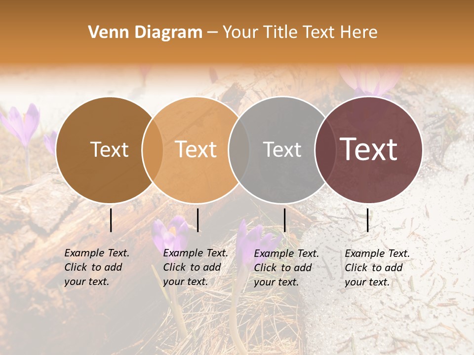 Snowdrops PowerPoint Template