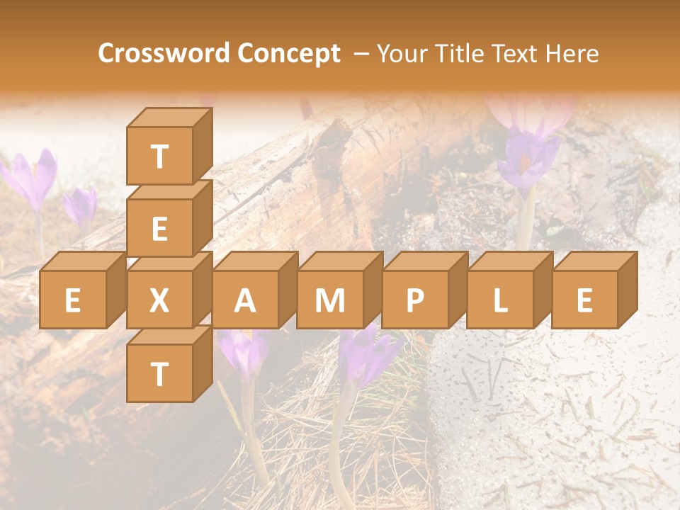 Snowdrops PowerPoint Template