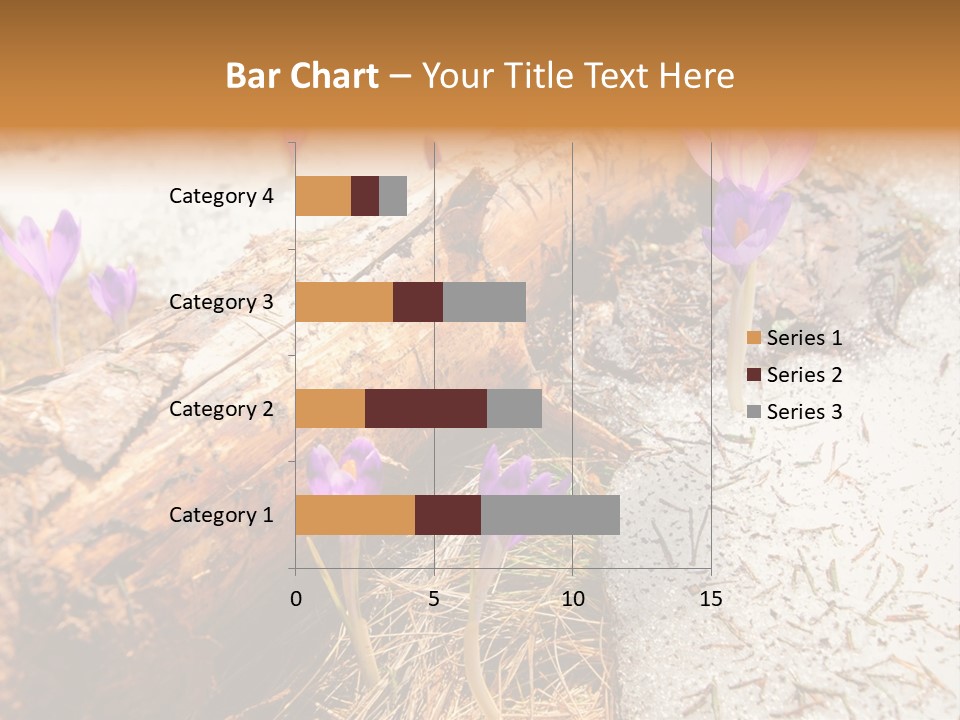 Snowdrops PowerPoint Template