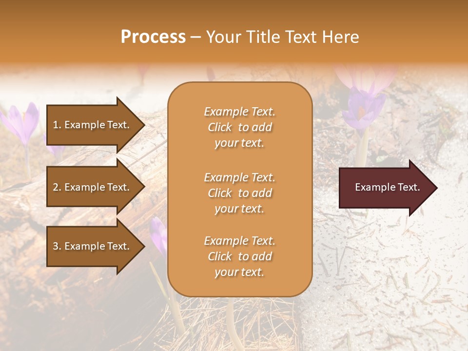 Snowdrops PowerPoint Template