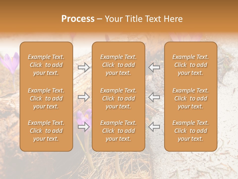 Snowdrops PowerPoint Template