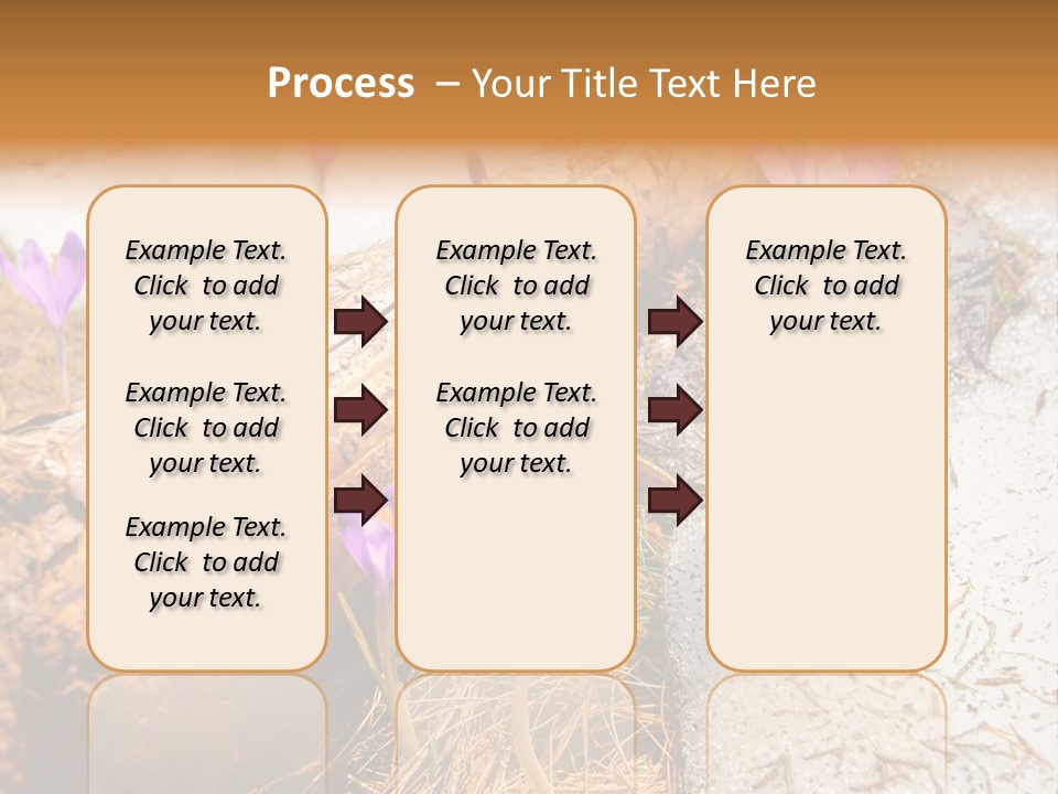 Snowdrops PowerPoint Template