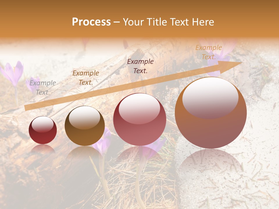 Snowdrops PowerPoint Template