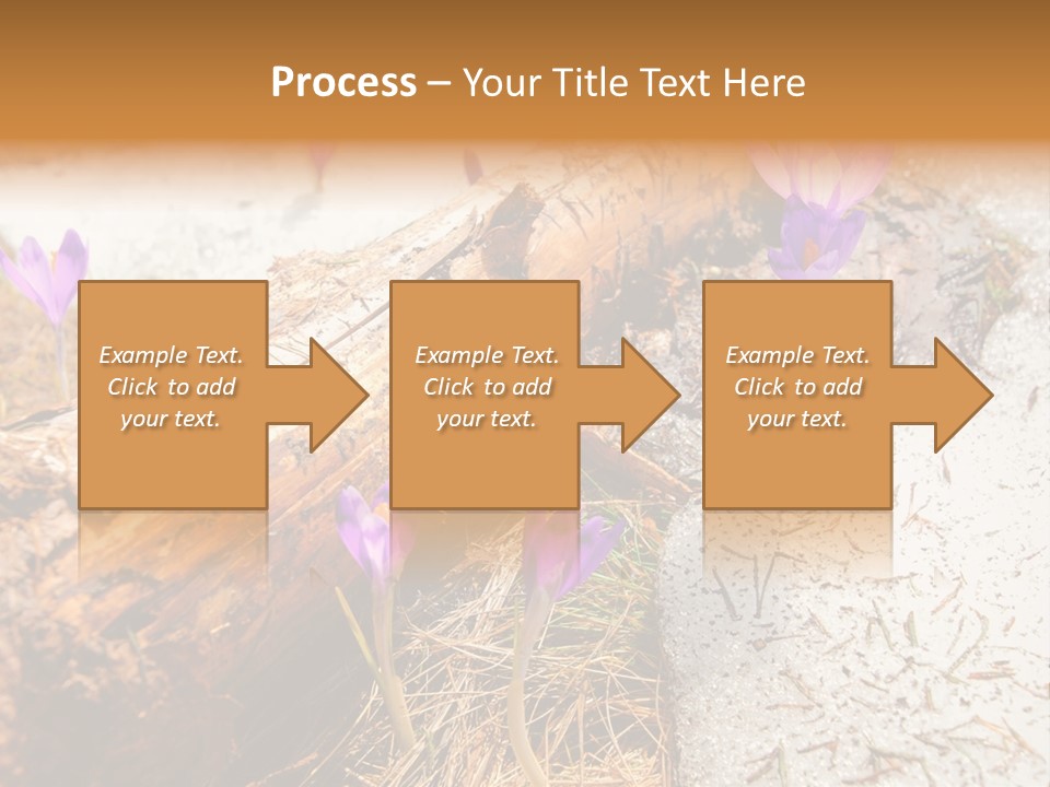 Snowdrops PowerPoint Template