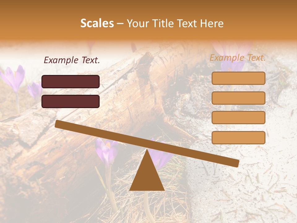 Snowdrops PowerPoint Template