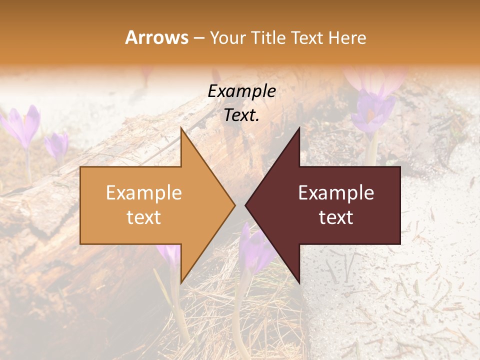 Snowdrops PowerPoint Template