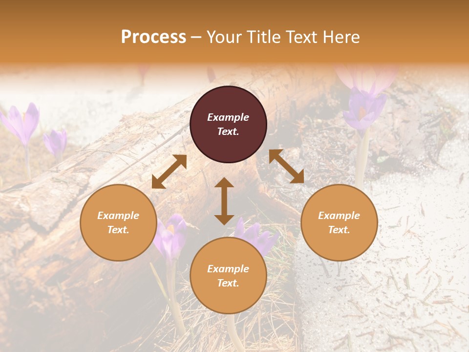 Snowdrops PowerPoint Template