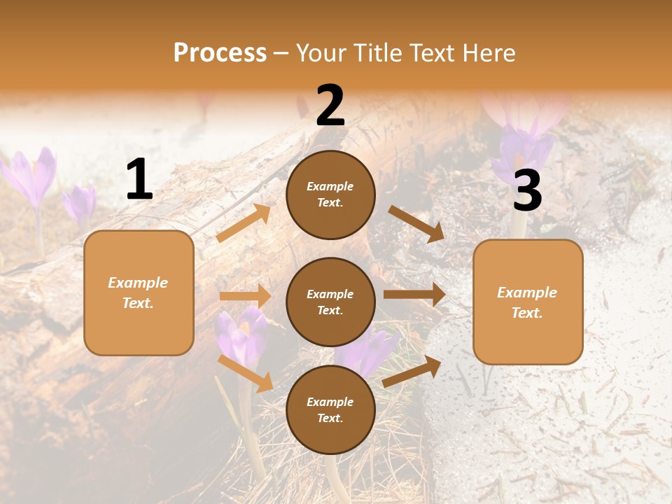 Snowdrops PowerPoint Template