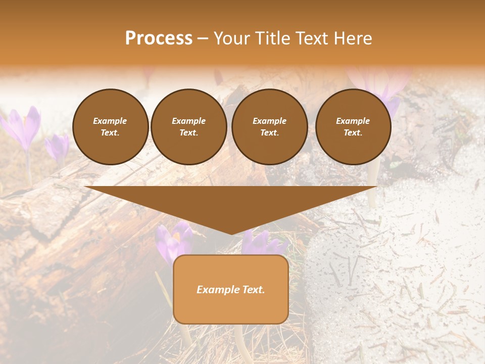 Snowdrops PowerPoint Template