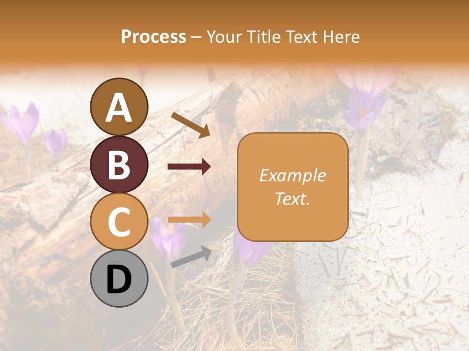 Snowdrops PowerPoint Template