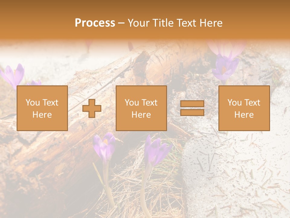 Snowdrops PowerPoint Template