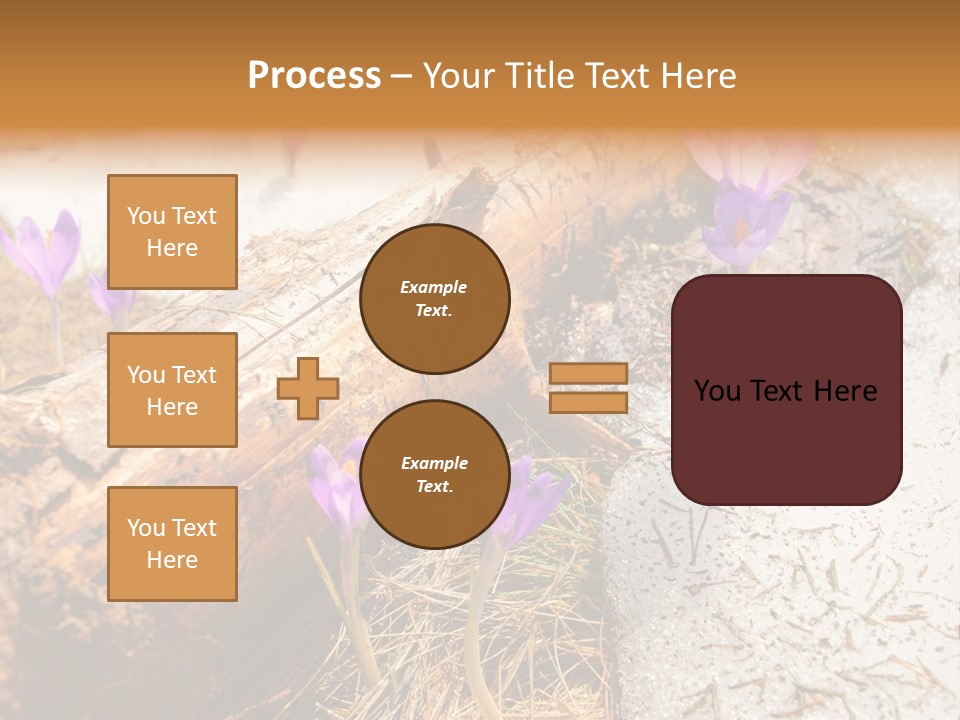 Snowdrops PowerPoint Template