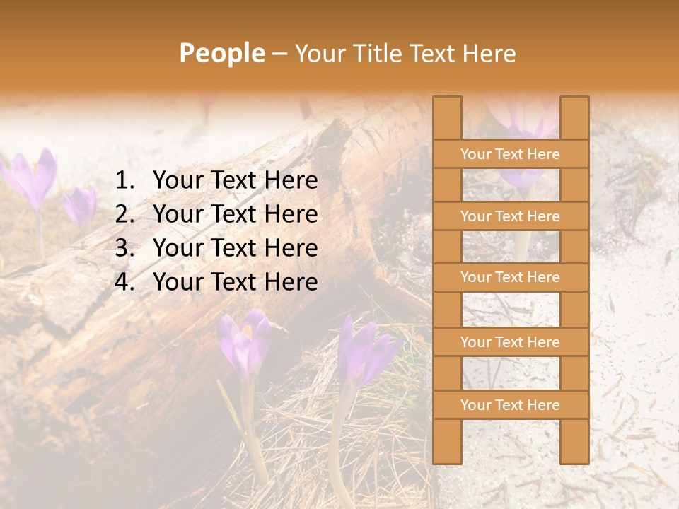 Snowdrops PowerPoint Template