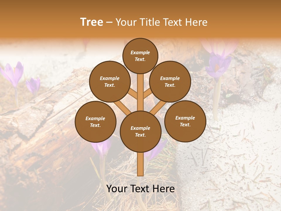 Snowdrops PowerPoint Template