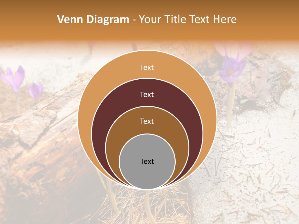 Snowdrops PowerPoint Template