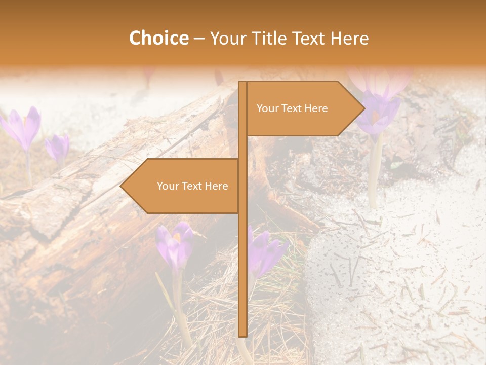 Snowdrops PowerPoint Template