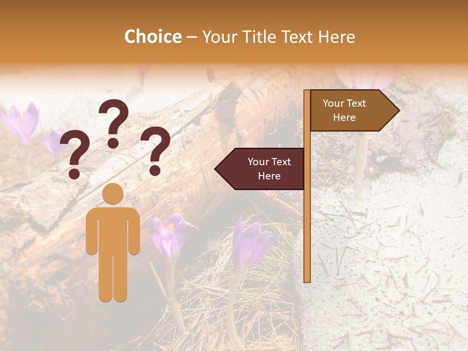 Snowdrops PowerPoint Template