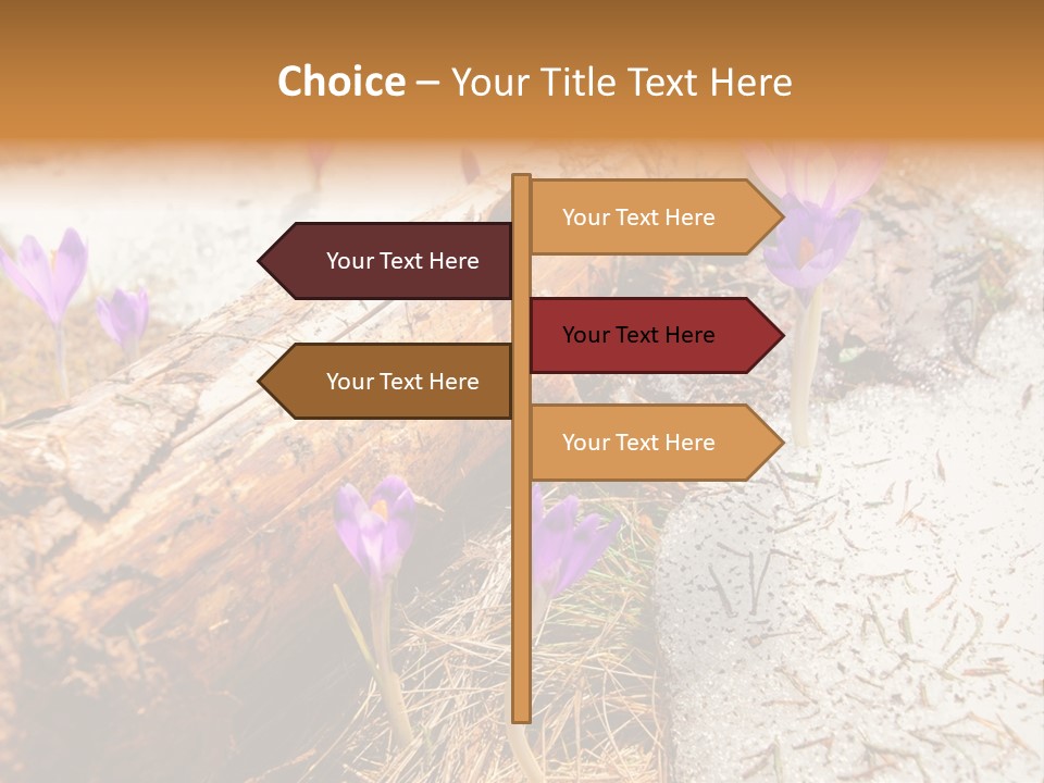 Snowdrops PowerPoint Template